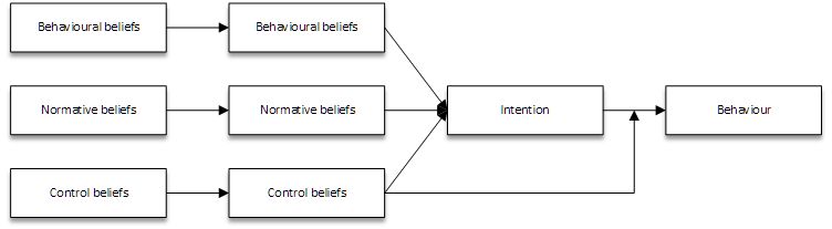 Theory: Theory of Planned Behaviour / :  Theory of Planned Behaviour (the Theory of Reasoned Action omits the perceived behavioural control construct)